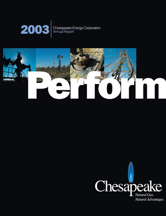 2003 Annual Report