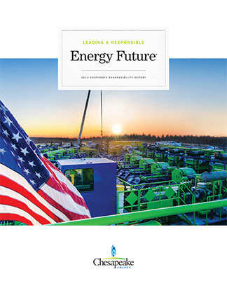 2012 Sustainability Report