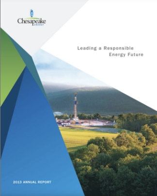 2013 Annual Report